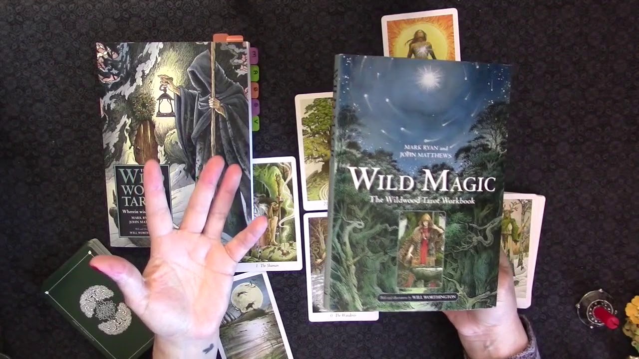 #intothewildwoods Pt 1 wrapup & Wild Magic review