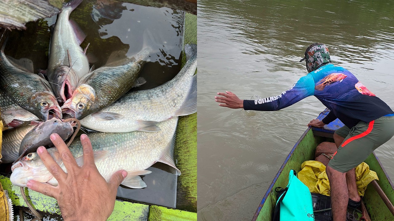 Pescando machacas mounstrosas de rio con una tecnica de pesca perfecta