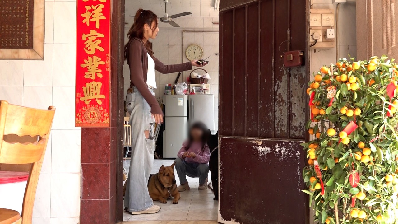 東張西望｜佐敦谷古廟有頑皮狗狂吠及追趕途人 廟宇負責人懷疑是附近流浪犬嚇到人｜佐敦谷古廟｜頑皮狗｜追趕途人｜流浪犬嚇到人｜黎寬怡