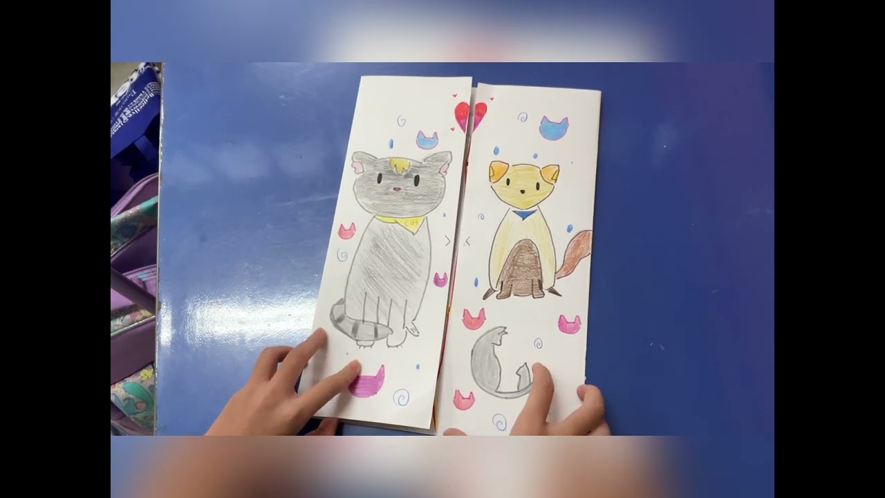 Alley cat allies organisation brochure / BROCHURE MAKING on selected NGO/ Group work