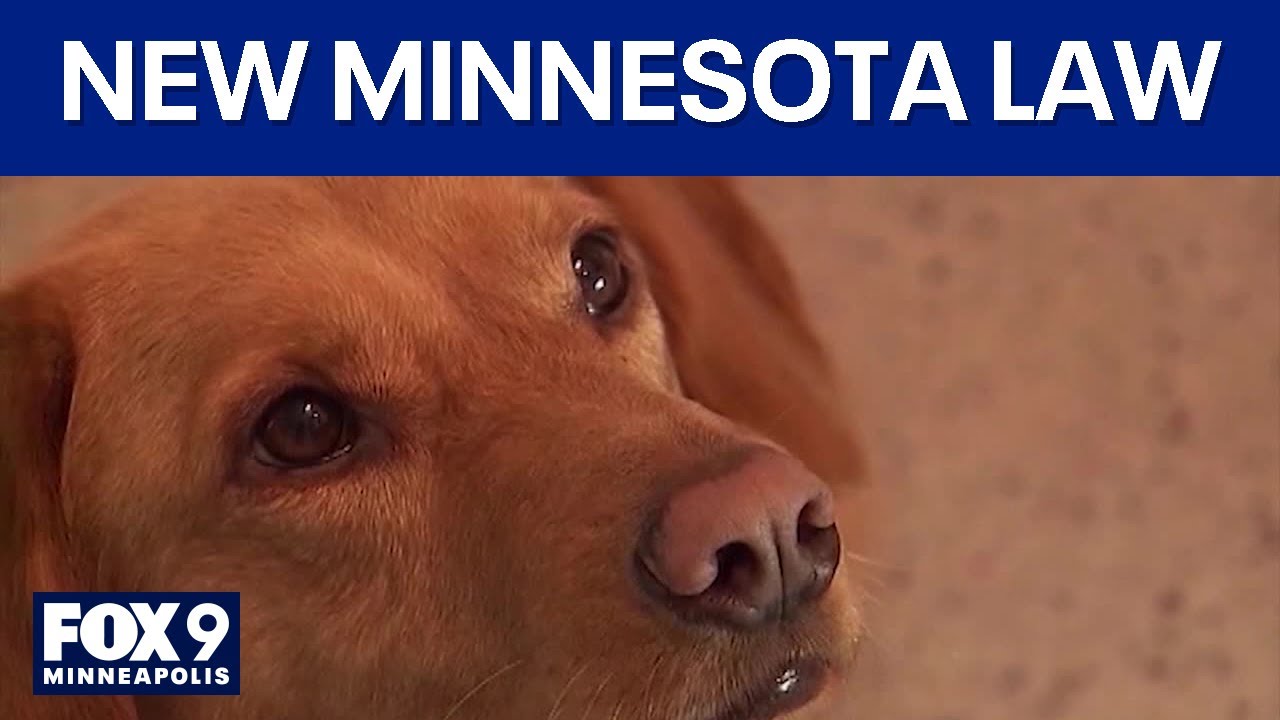 Law gives housing protections for service dog trainers