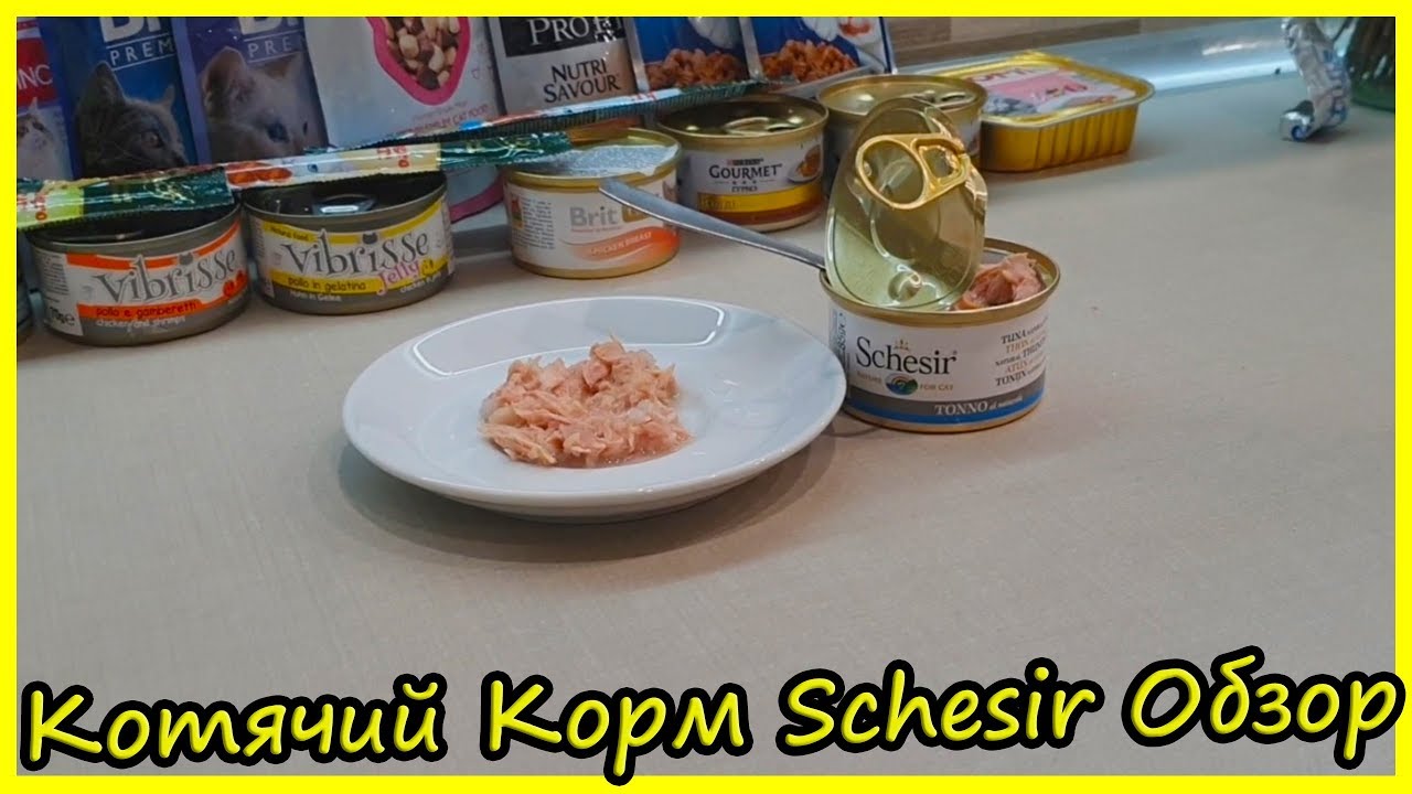 Котячий Корм Шезир (Schesir) Обзор. Блог Кота Альфа. Обзор Влажных Кормов для Кошек Schesir