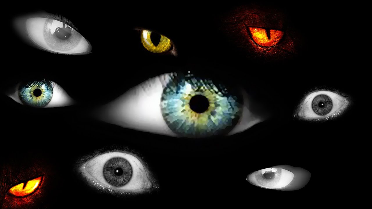 THEY'RE WATCHING YOU... | Shadows 2 - Part 1