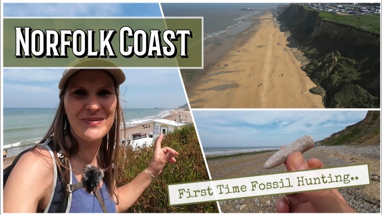 Fossil Hunting On The NORFOLK COAST East Runton. Can Anyone Find Fossils?