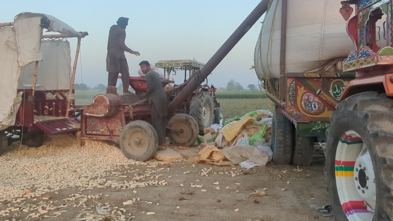 ٹریکٹر ٹرالی رکشہ شیلر مزدوروں کا کام 