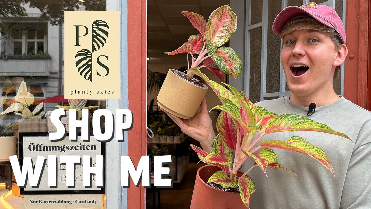 ERSTER Besuch bei Planty Skies Berlin & dann DAS! 😳 | Shop with Me 🛍️🌱