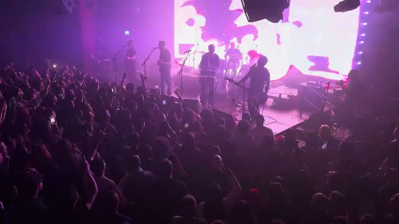 מוניקה סקס - על הרצפה (30 שנה לפצעים ונשיקות, באראבי ת
