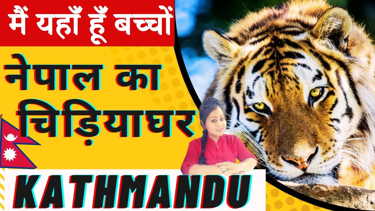 नेपाल का चिड़ियाघर  || ZOO || ZOO IN KATHMANDU || NEPAL ZOO || ZOO IN NEPAL|| CHIDIYA GHAR ||चिड़ियाघर