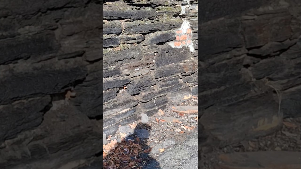 Просто 🔥 сгорело. Смиритесь с этим.