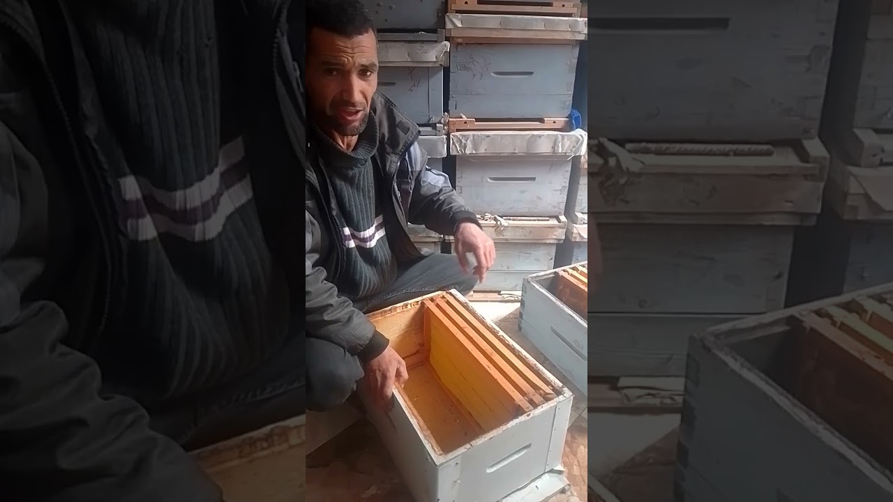 طريقة تقسيم في نفس المكان