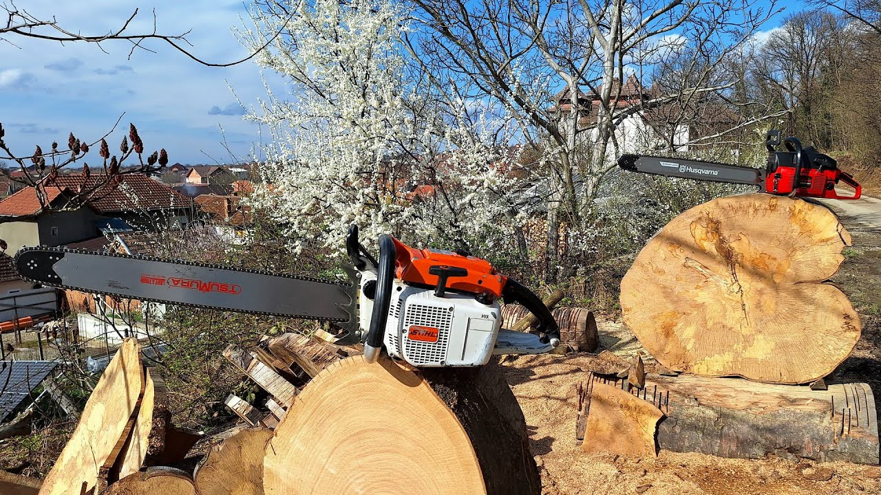 Spring fun with Jonsered 630 Super II and Stihl 076