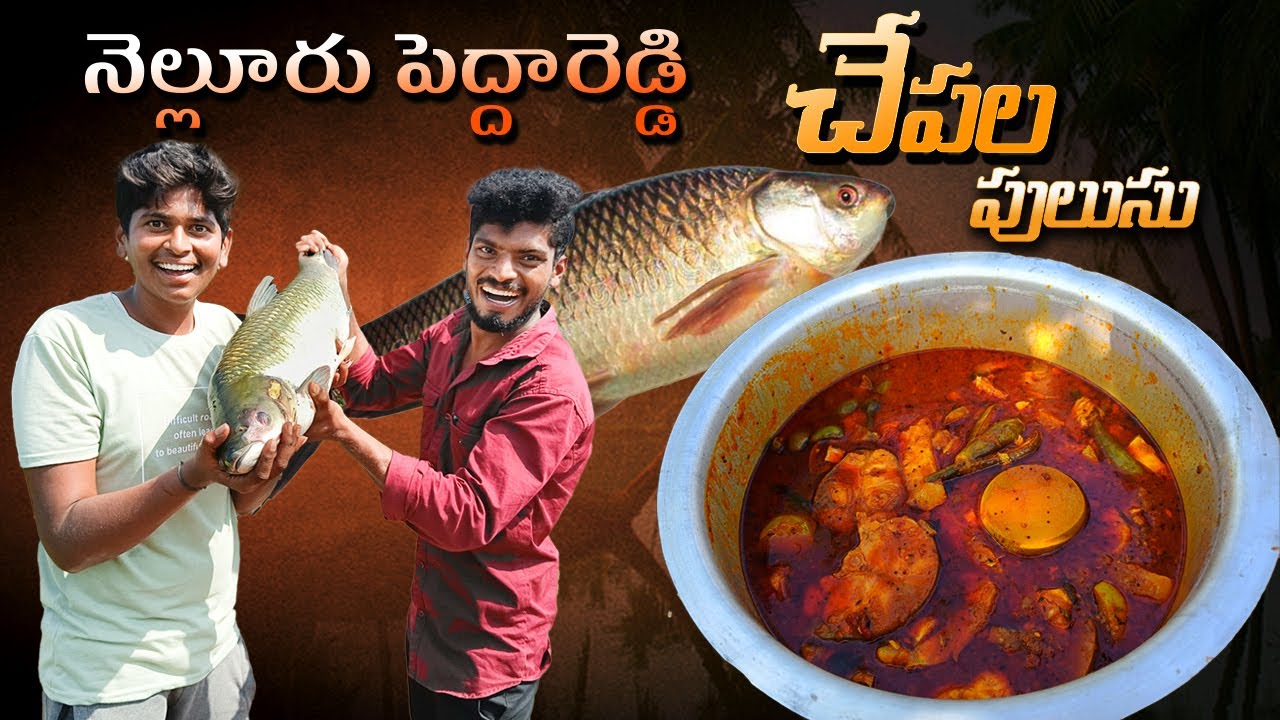 నెల్లూరు పెద్దారెడ్డి చేపలపులుసు🤤🤤🐟