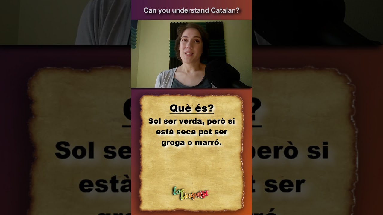 Can you understand Catalan? | #1