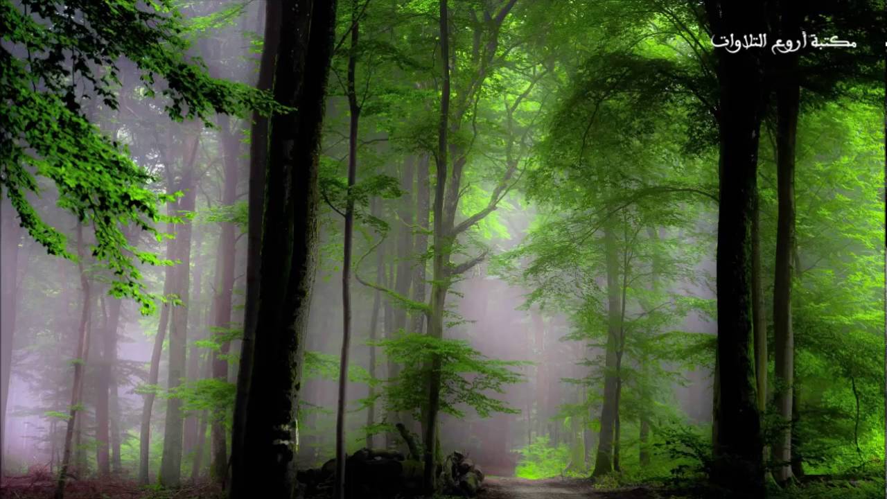 تلاوة خيااالية لسورة الكهف ... لا إله إلا الله  ! Surah Al kahf I Exceptional recitation