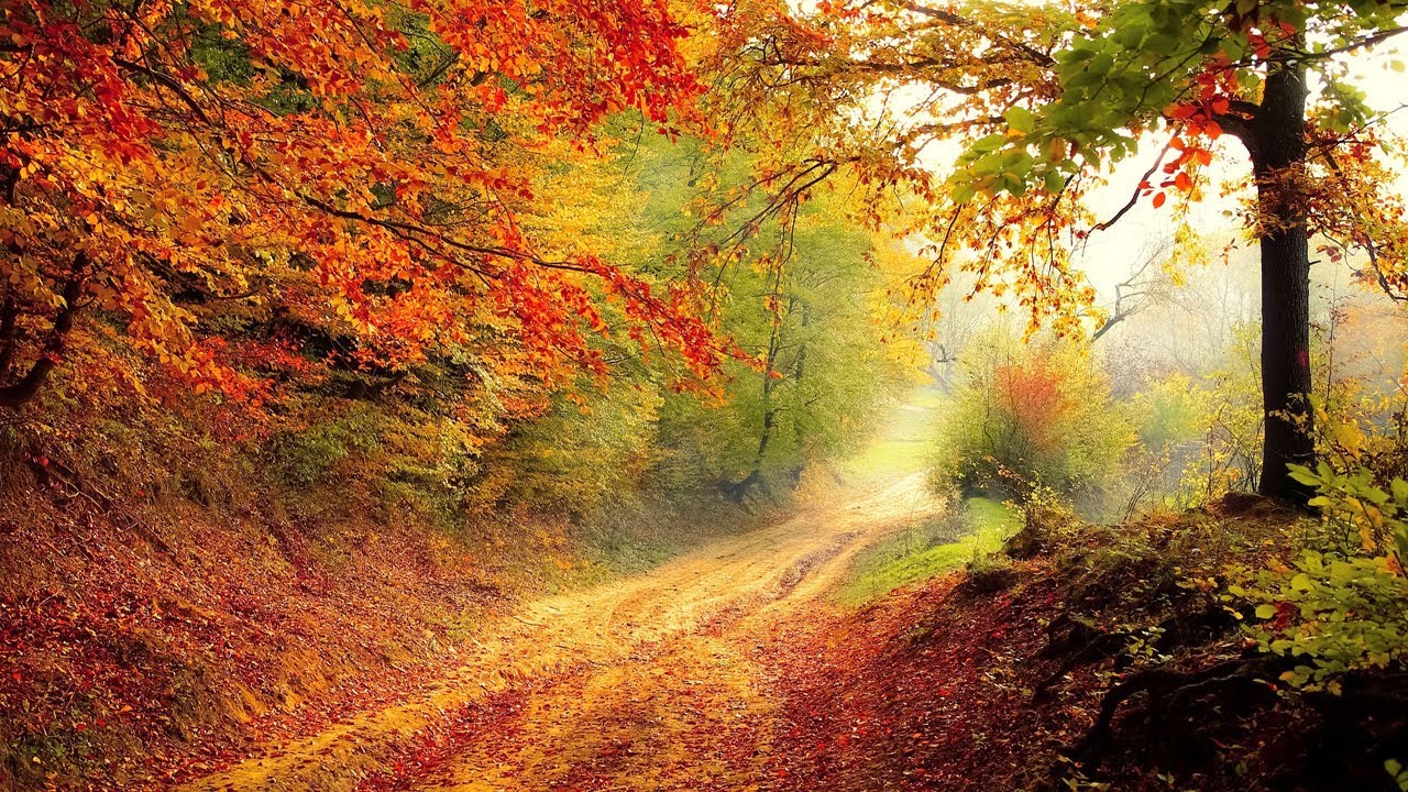 Szunnyad az élet 🍂🍁❄️