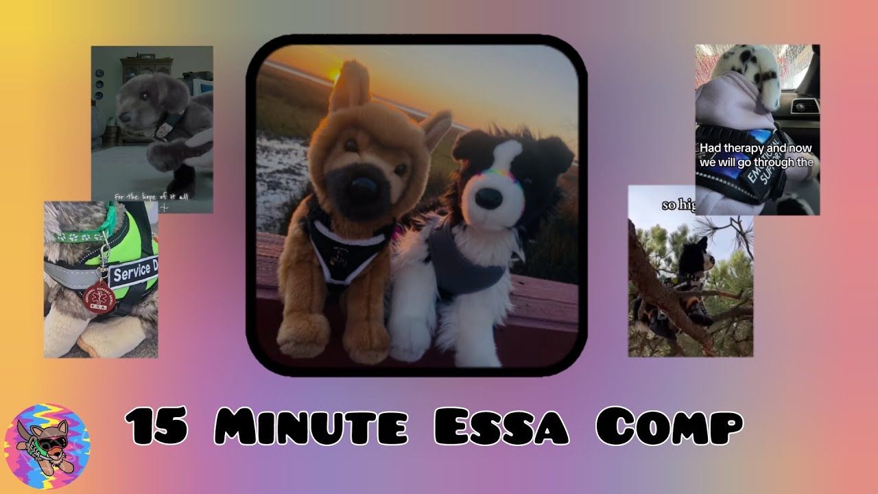 ESSA COMP BECAUSE YOU DONT HAVE TIKTOK 