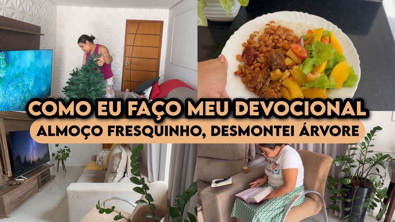 COMO EU FAÇO MEU DEVOCIONAL | ALMOÇO FRESQUINHO| DESMONTEI A ÁRVORE DE NATAL | 