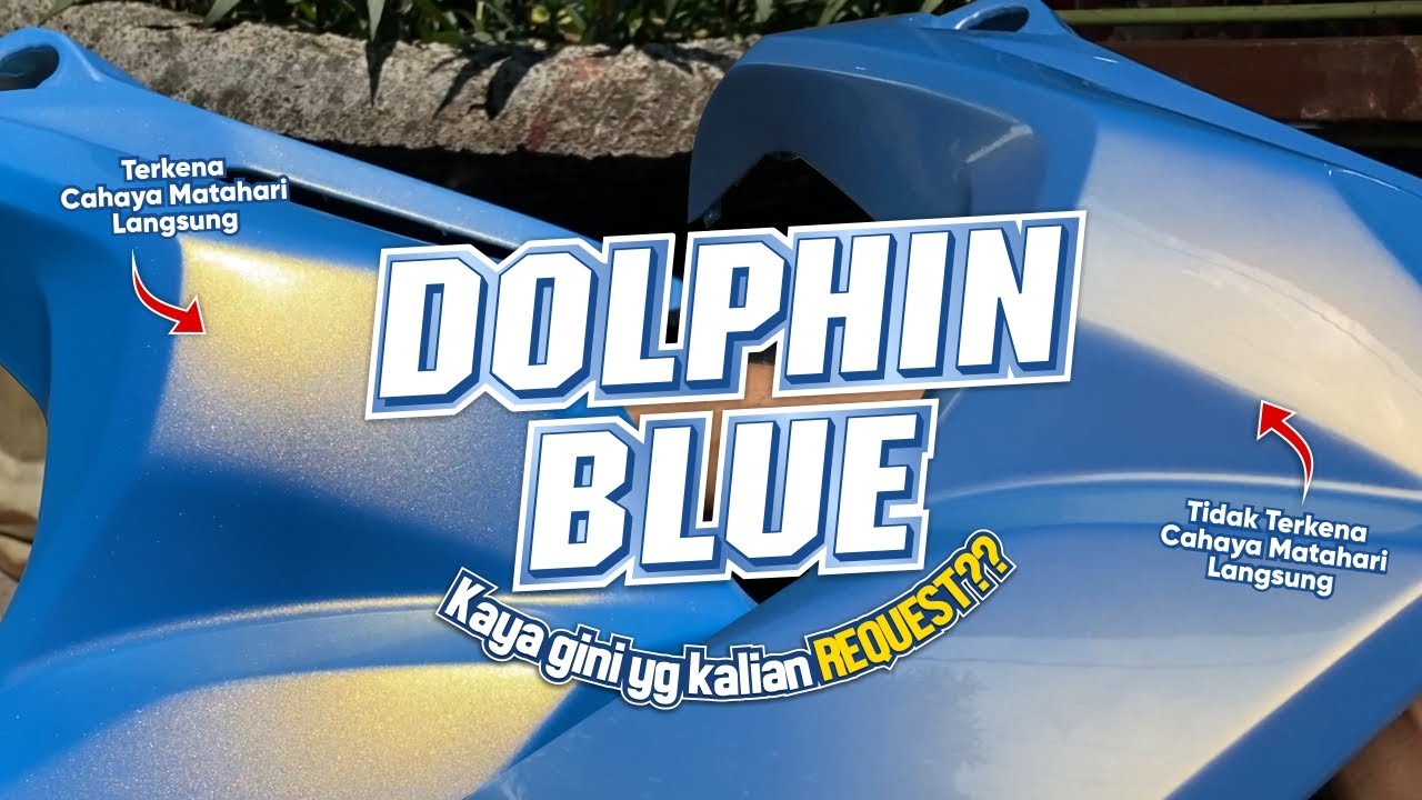 DOLPHIN BLUE ALA SAPPORO ULTIMATE
