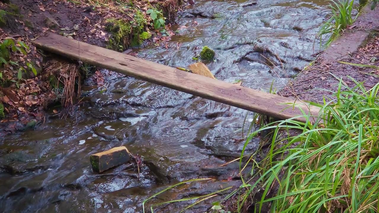 Roundhay Park Studio v3