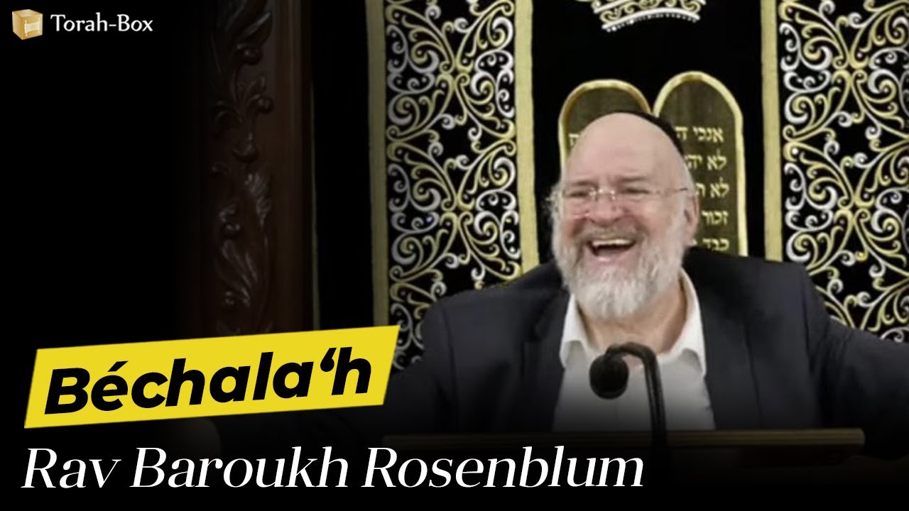 TU N'AS JAMAIS ÉTUDIÉ LA PARACHA BÉCHALA'H DE CETTE FAÇON 😮 RAV ROSENBLUM