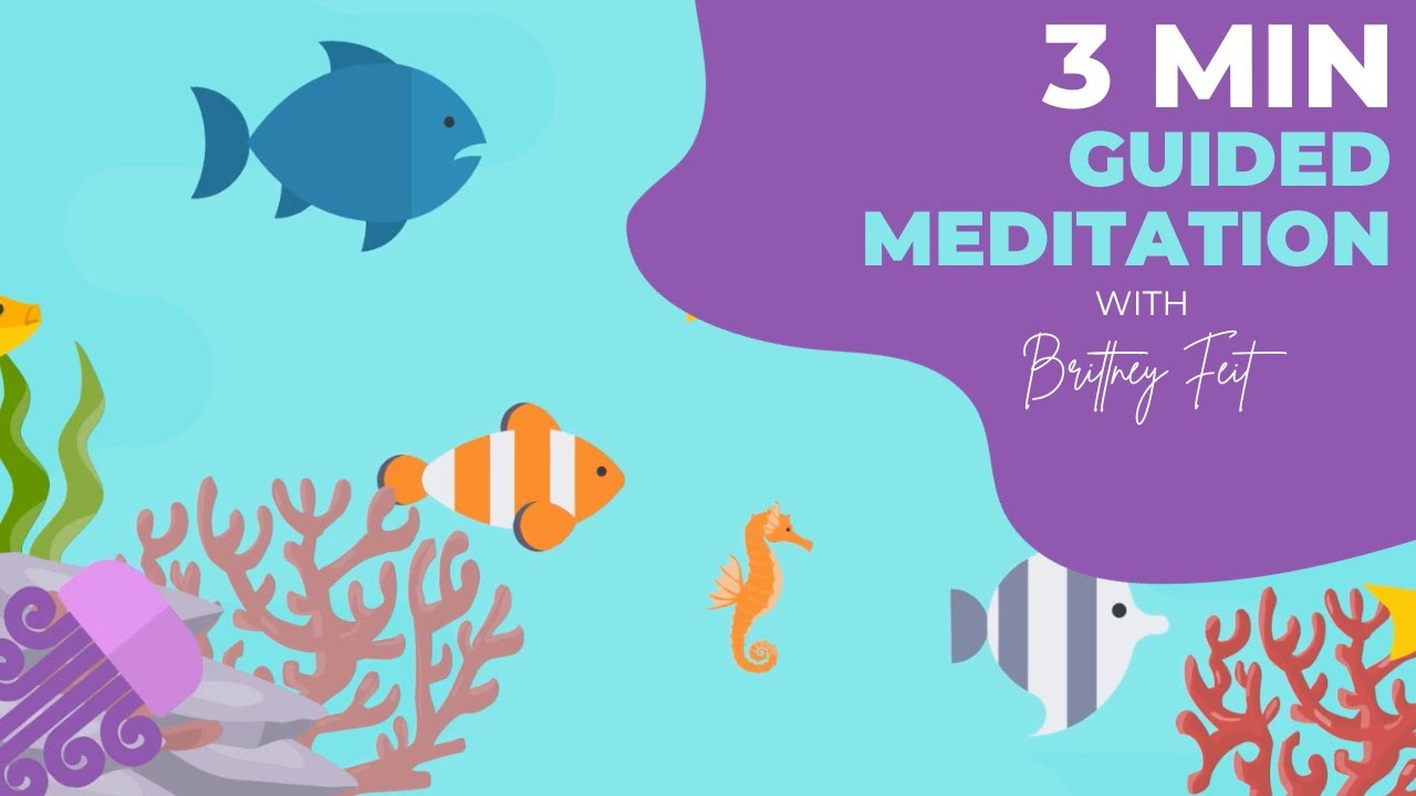 3 Minute Guided Meditation for Students of all ages ~ Breathing with the Ocean
