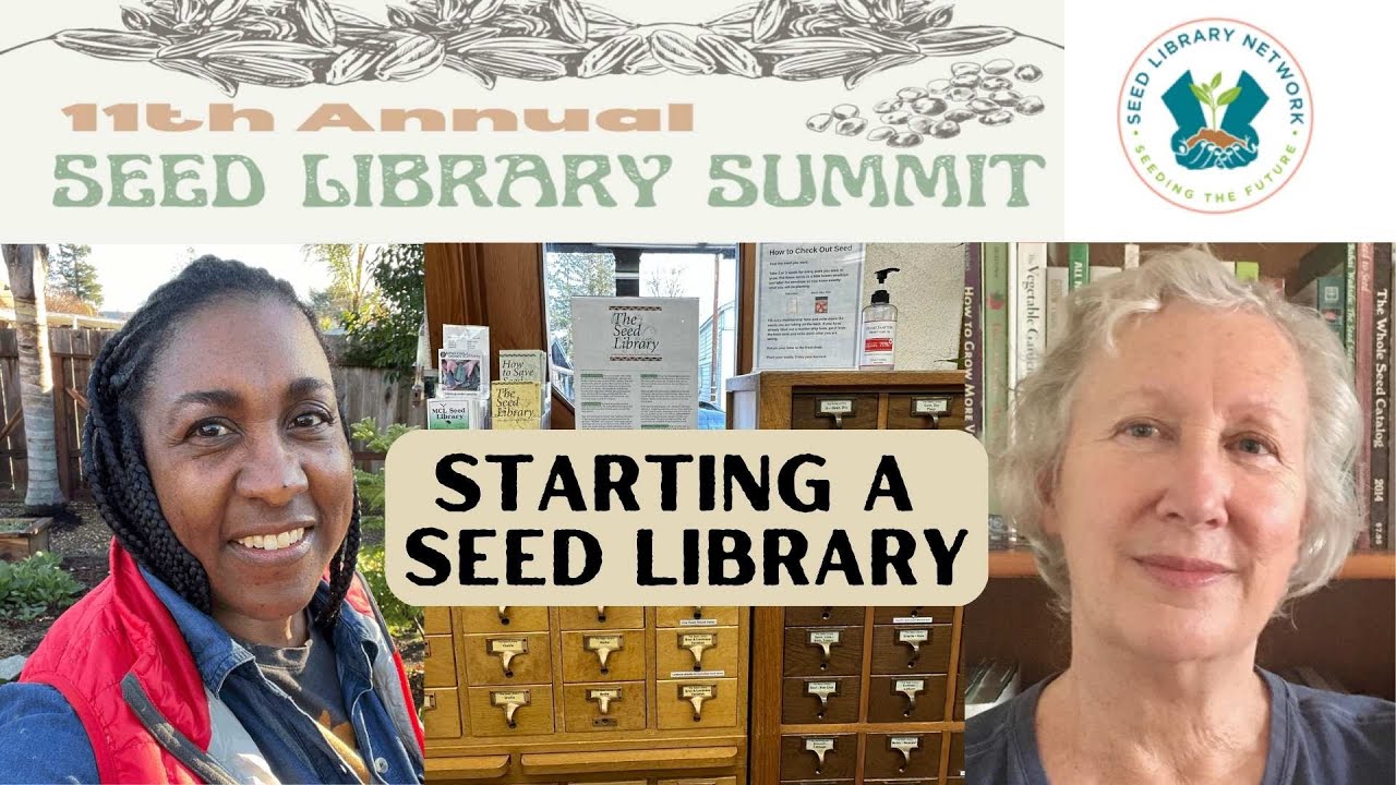 How to Start a Seed Library