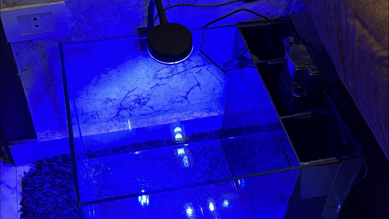 عملنا حوض بحري من الصفر مع Coral Reef Club