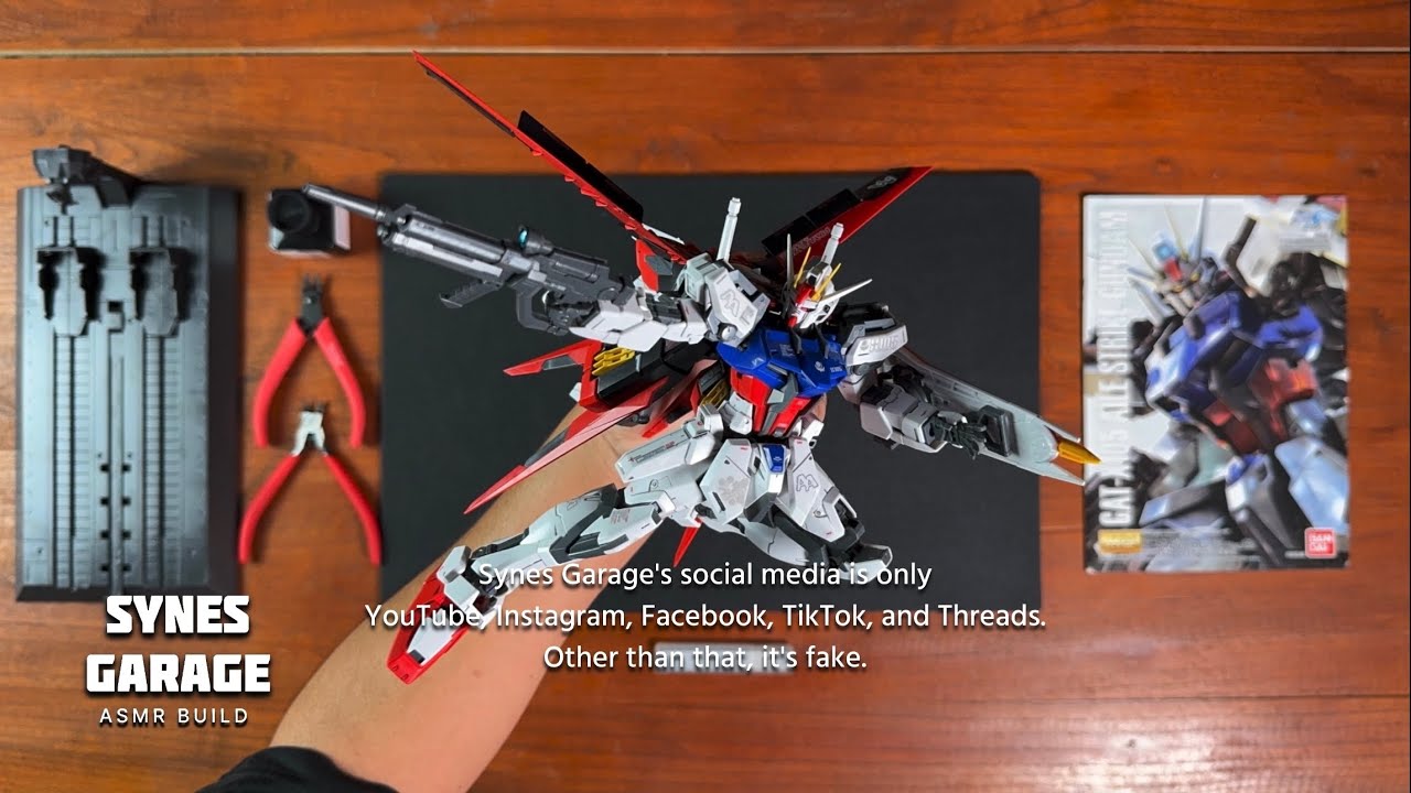 Alie Strike Gundam MG 1/100 | ASMR BUILD | Bandai