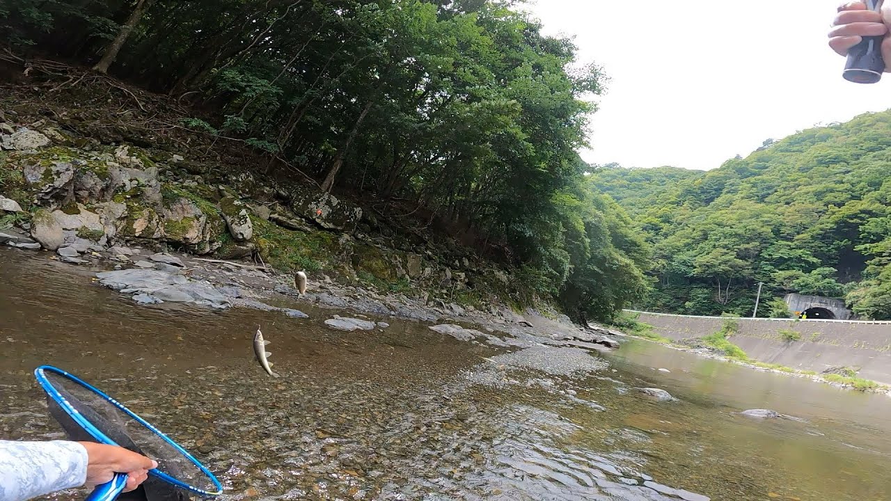 濁り風の閉伊川  種交換