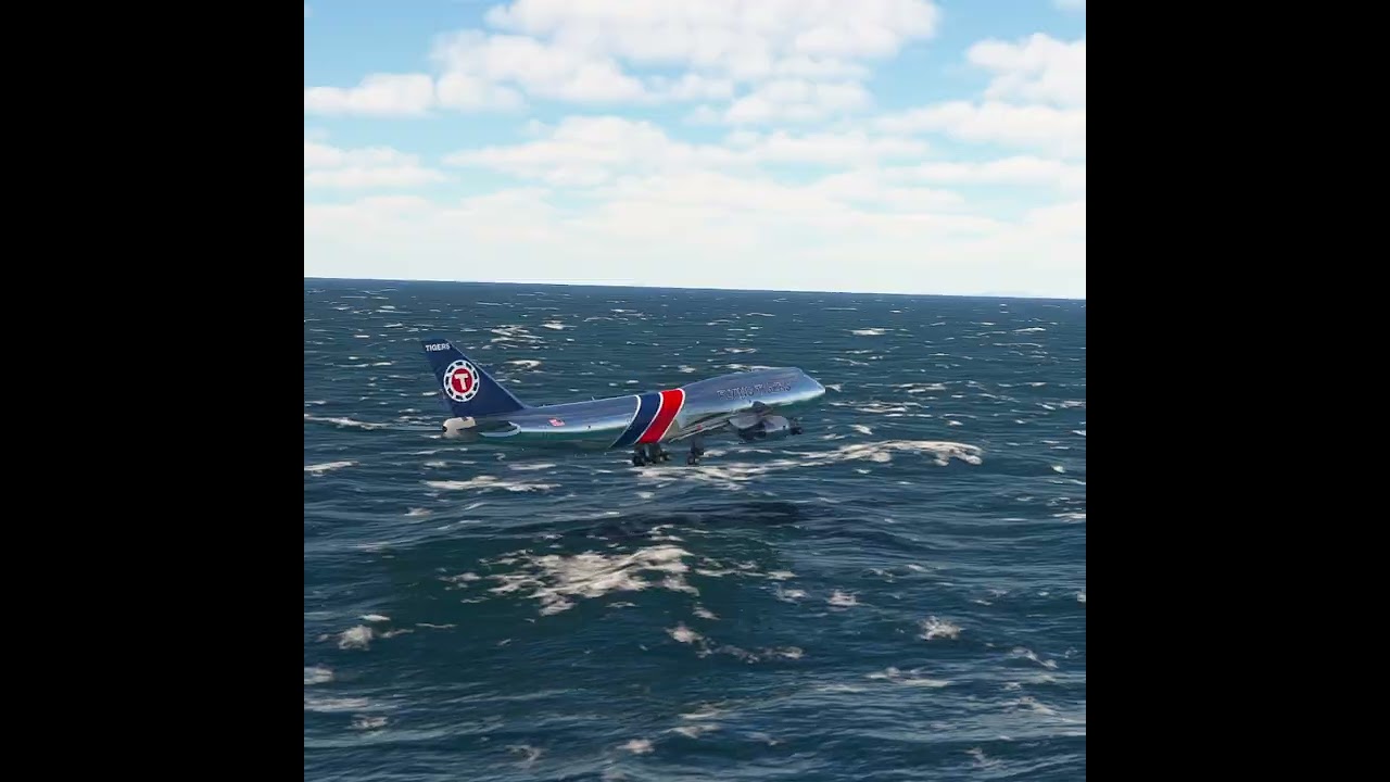 the carelessness of an airplane pilot 0252
