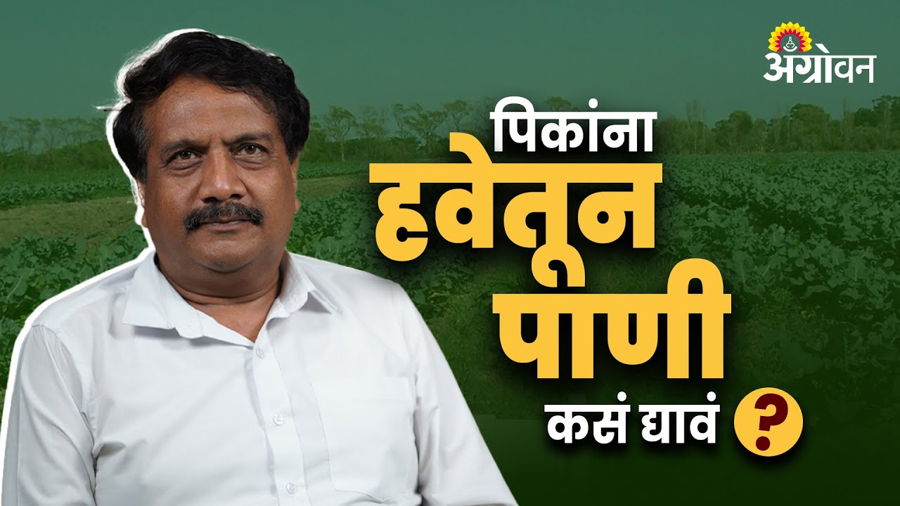 Air Irrigation : पिकांना हवेतून पाणी देता येतं का? | Ft. Satish Khade