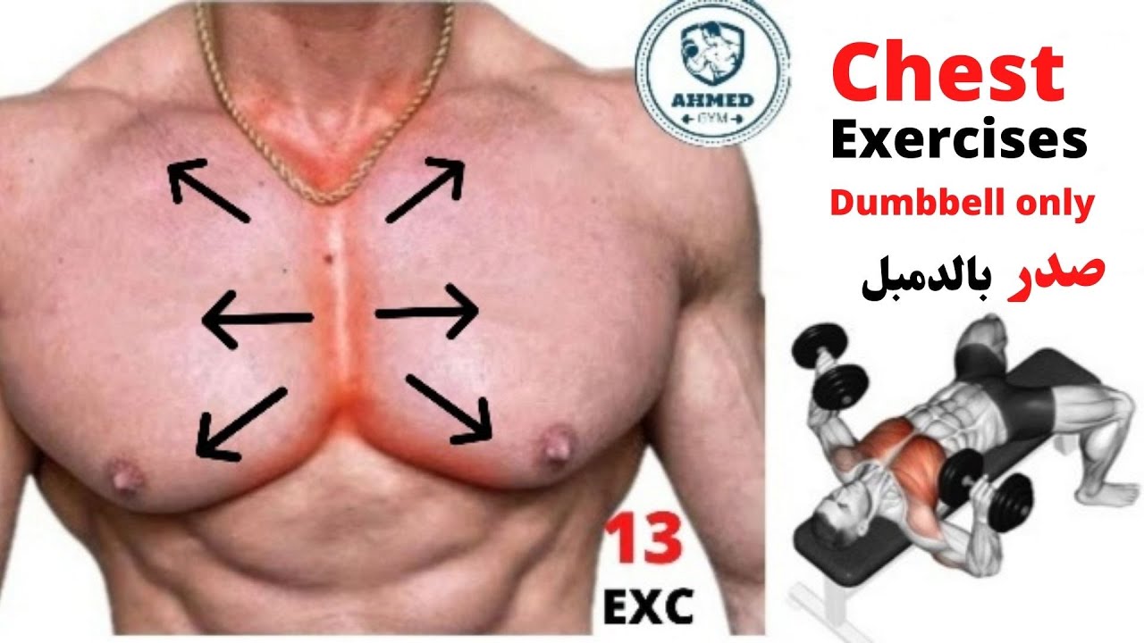 chest exercises with dumbbells only | اقوى تمارين الصدر بالدمبل فقط