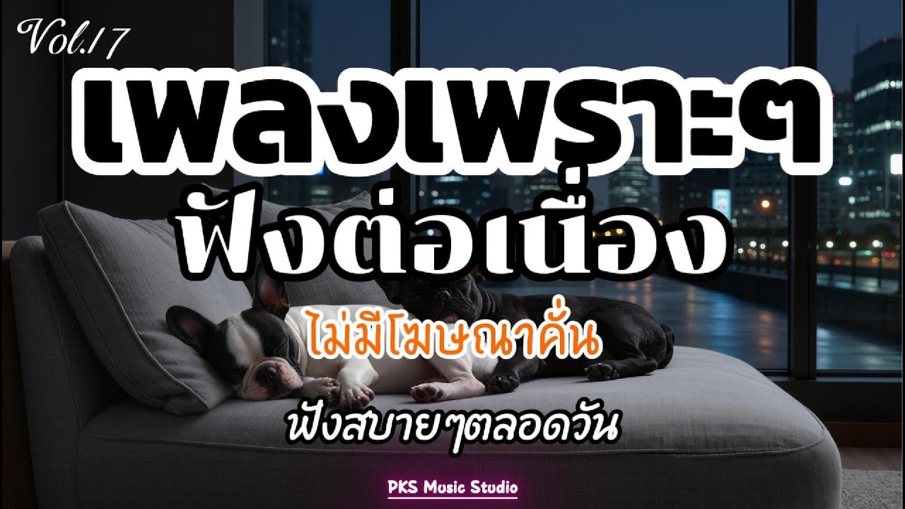 รวมเพลงเพราะ ฟังสบายๆ ไม่มีโฆษณาคั่น ฟังยาวๆ ตลอดวัน