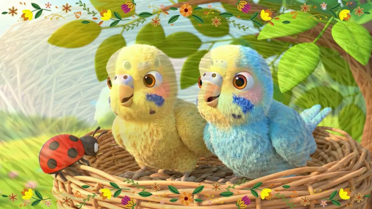 Cómo Nacen los Periquitos 🐦🥚 | Video Largo para Niños y Bebés