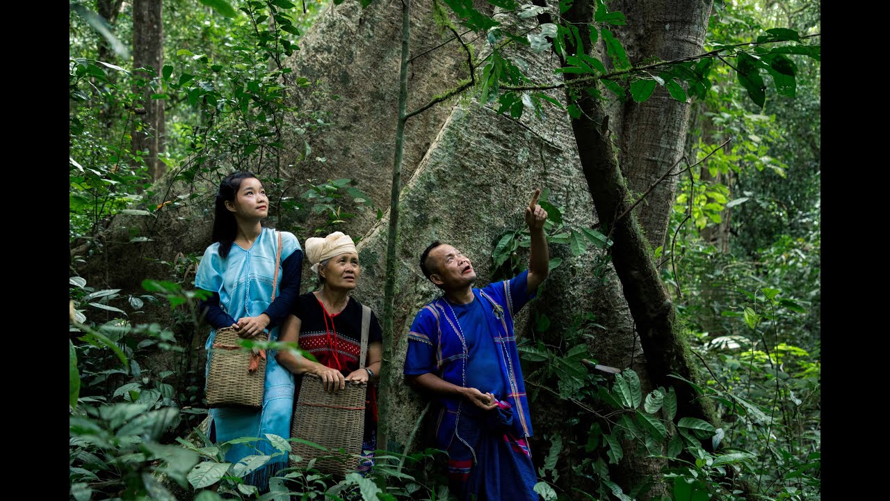 For a Healthy World, Indigenous People's Rights Matter