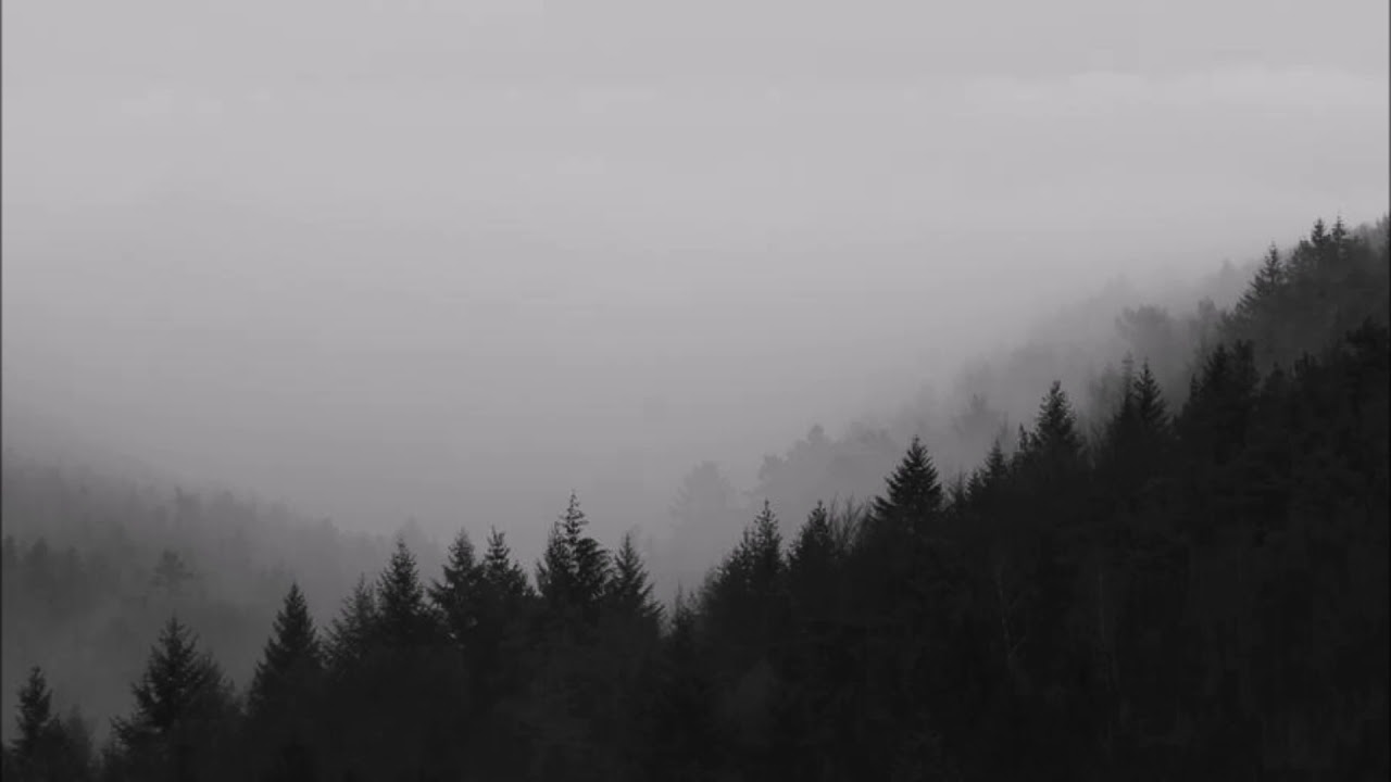 Solitude and Loss - Acoustic Black Metal Instrumental