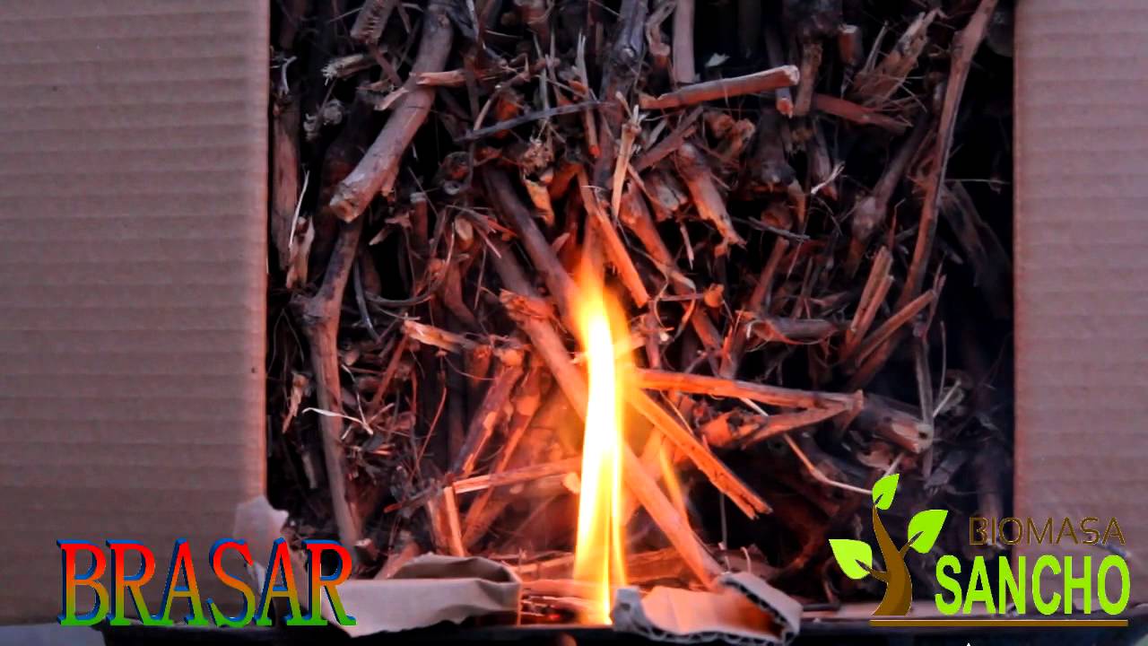 Brasar : Brasas de sarmiento