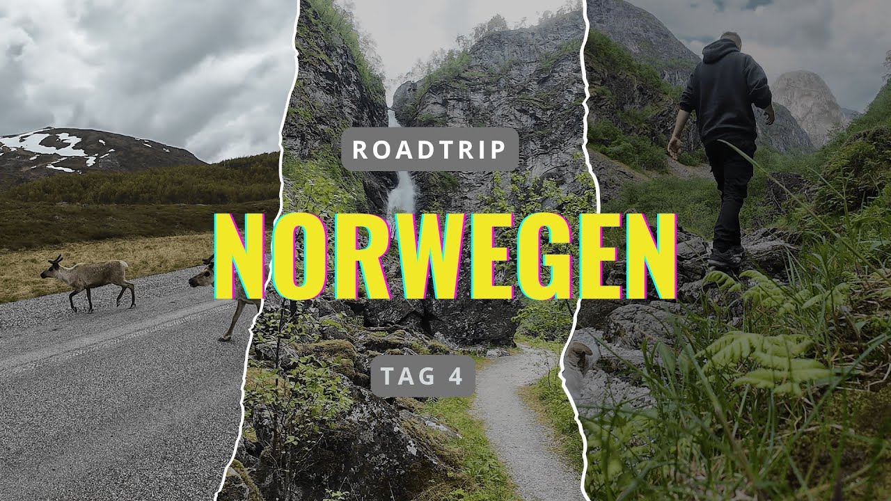 Rentiere, Wasserfall & unser erster Fisch - Norwegen überrascht uns | Norwegen Roadtrip Tag 4