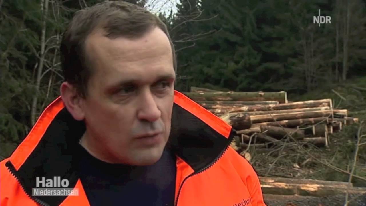 arbora Hubschrauberfällung Wildemann