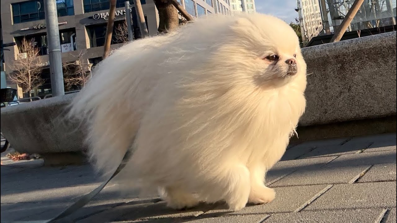 앤디의 네번째 겨울