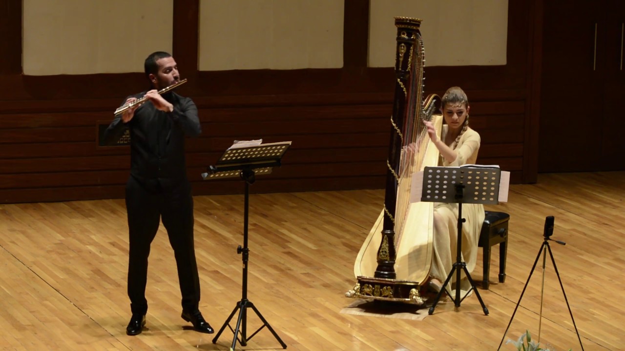 G.Donizetti Sonata for flute and harp
