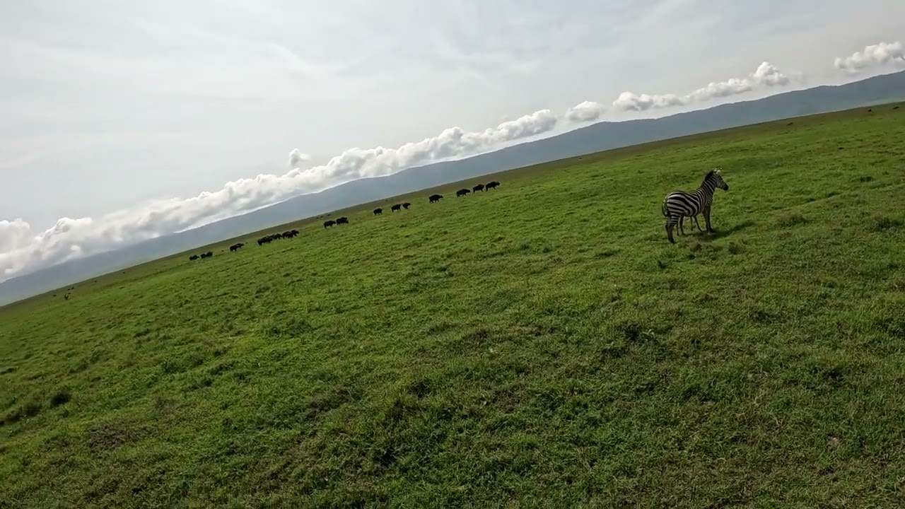 Kilimanjaro Ngoro Goro Safari
