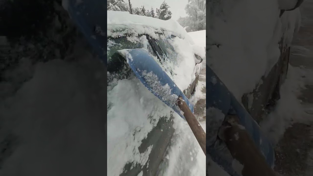 Ostatnie pokolenie i ocipienie klimatu🤣🤣🤣