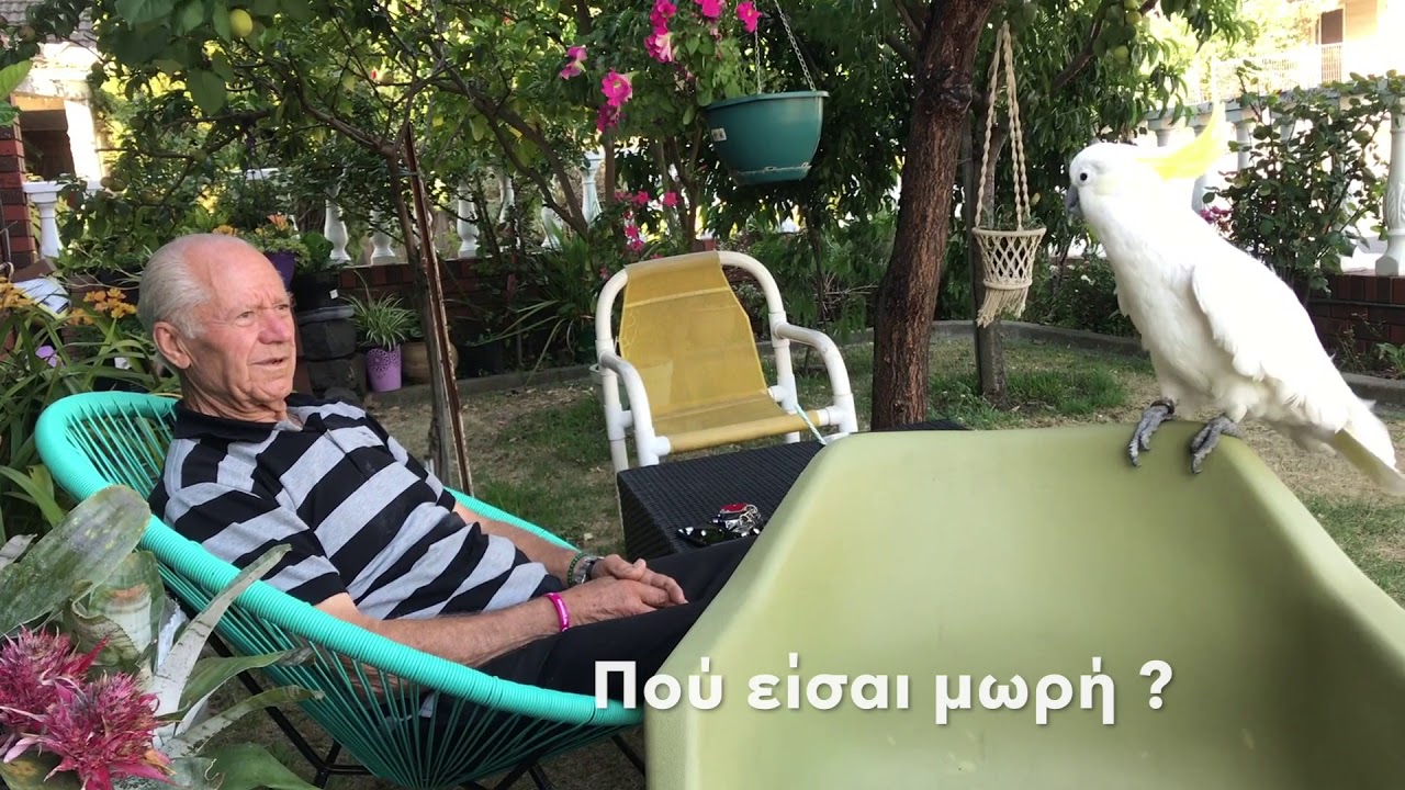 &Pi;&alpha;&pi;&alpha;&gamma;ά&lambda;&omicron;&sigmaf; &phi;&omega;&nu;ά&zeta;&epsilon;&iota; 