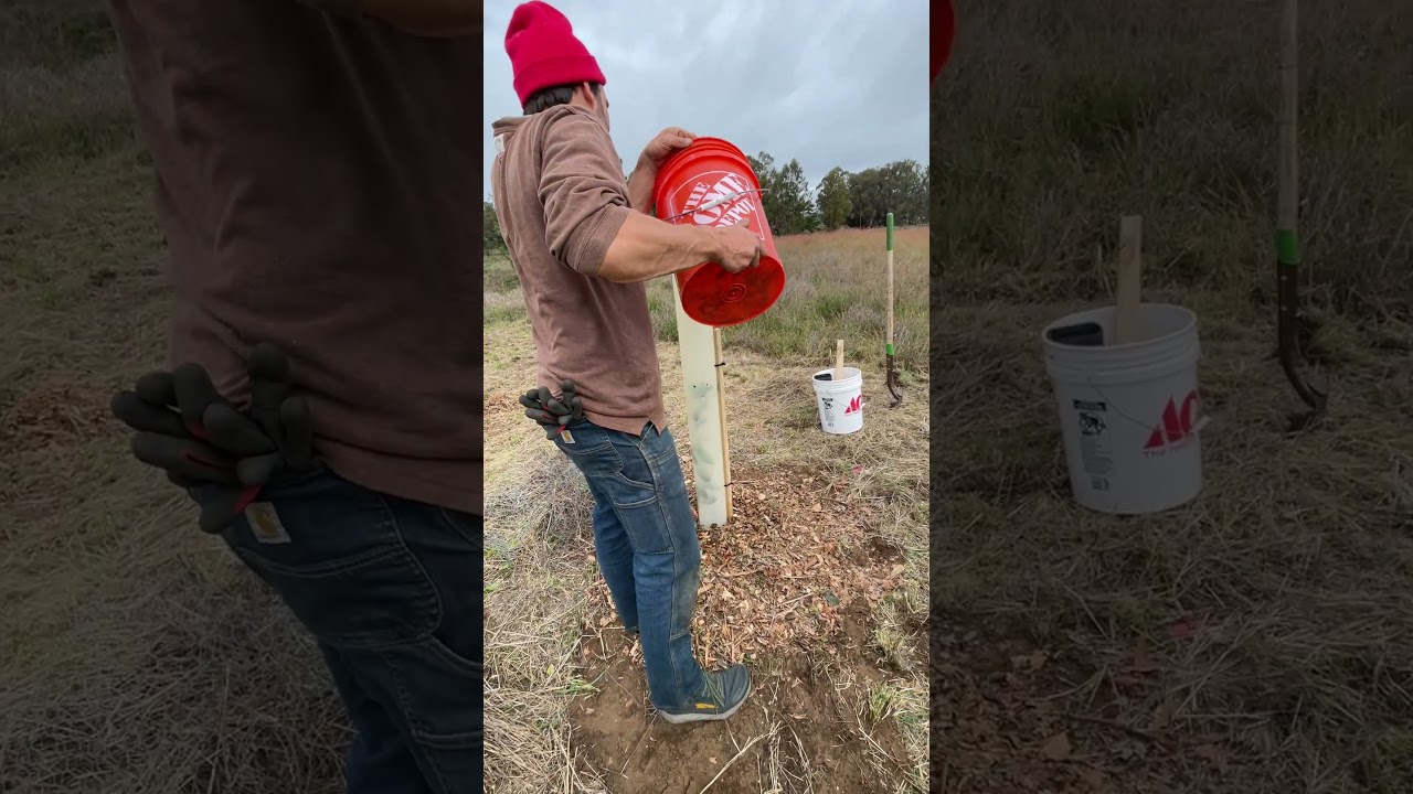 Video #4 Oak Trees in Tree Pots: Planting Demonstration, presented by Jesse Trace
