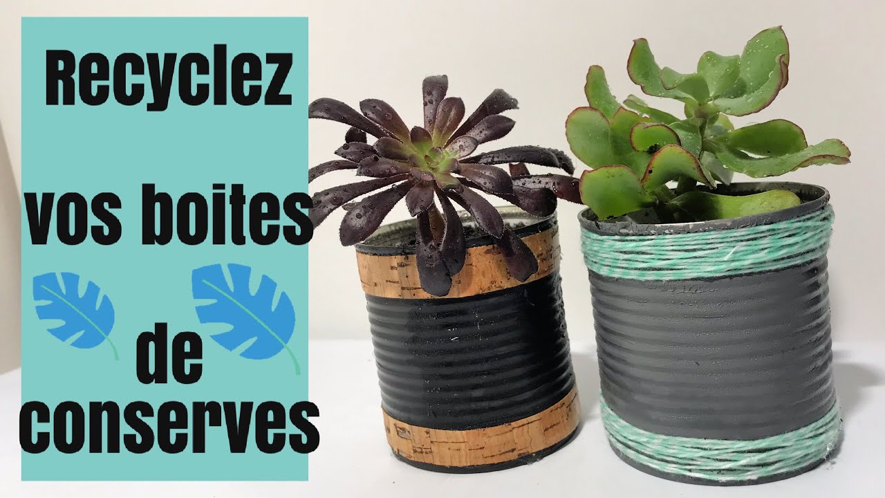 🥫Comment recycler vos boîtes de conserves en Pots de fleurs 🌹 | DIY RECYCLAGE DÉCO PLANTES