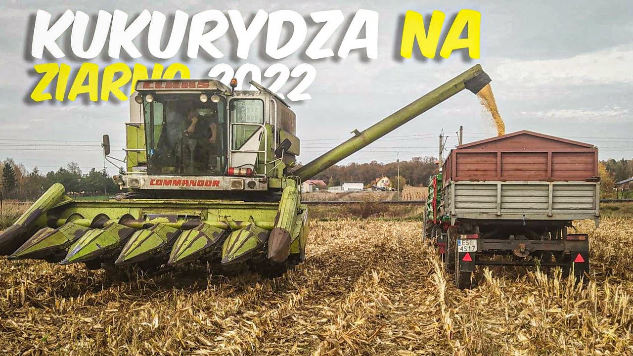 ✩Kukurydza Na Ziarno✩ GR Grabiccy✩Class Dominator 114cs, McCormick, Massey Ferguson✩ rakuss✩