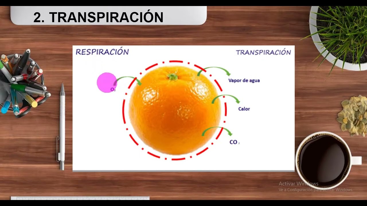 Manejo poscosecha