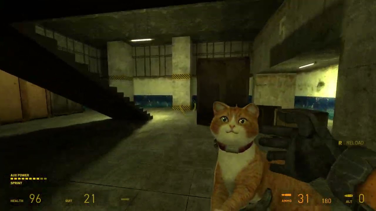 HL2 Modded - We&rsquo;ve Got Combine!