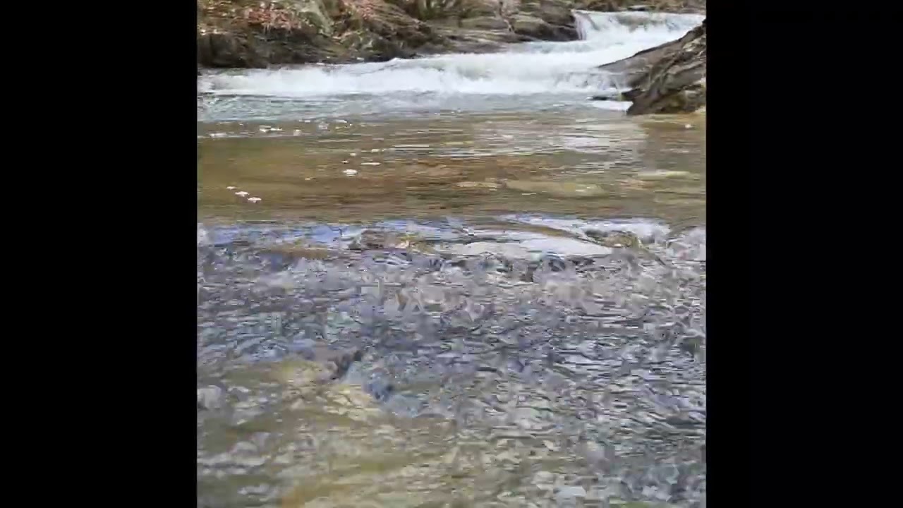 10 Minutes of Creek Water Flow | Soothing Waterfall Sounds for Relaxation